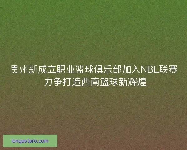 贵州新成立职业篮球俱乐部加入NBL联赛 力争打造西南篮球新辉煌